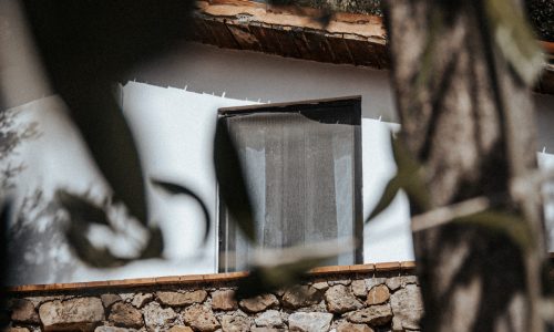 p1544646